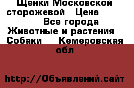 Щенки Московской сторожевой › Цена ­ 35 000 - Все города Животные и растения » Собаки   . Кемеровская обл.